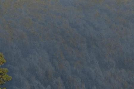 Фрагмент Пейзаж