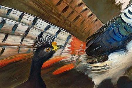 Фрагмент Pheasants and exotic fowls