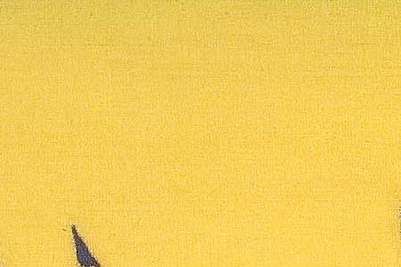 Фрагмент Picture 3270