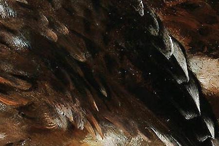 Фрагмент Picture 6671