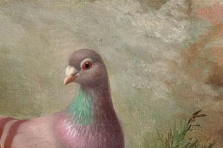 Фрагмент Pigeons in a courtyard