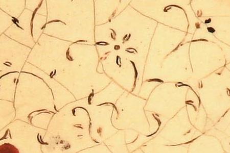 Фрагмент Pincushion Fresco