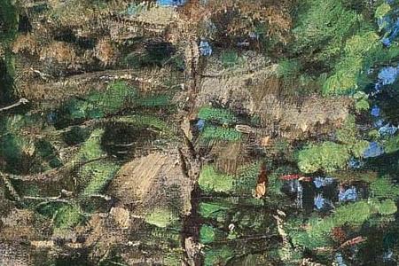 Фрагмент PINE FOREST