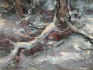 Фрагмент Pine forest