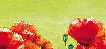 Фрагмент Поле Маковое