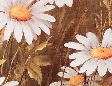 Фрагмент Поле с ромашками