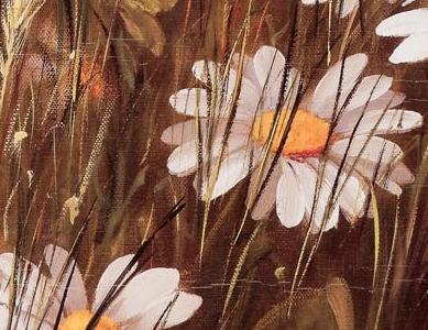 Фрагмент Поле с ромашками