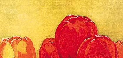 Фрагмент Поле Тюльпанов