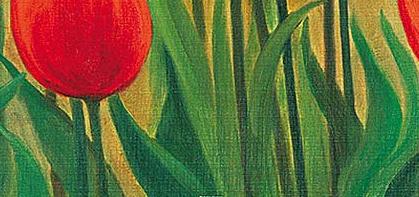 Фрагмент Поле Тюльпанов