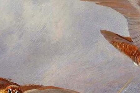 Фрагмент Полет Глухарей над горным озером