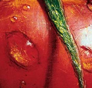 Фрагмент Помидор