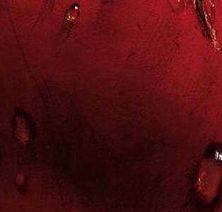 Фрагмент Помидор