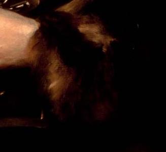 Фрагмент Порре охоника 18 век