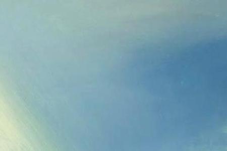 Фрагмент PORTRAIT DE MADAME SCHLUMBERGER