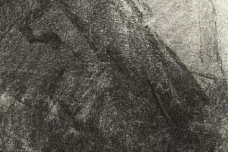 Фрагмент PORTRAIT OF A YOUNG WOMAN