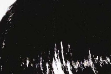 Фрагмент PORTRAIT OF BARBARA AND CLARY MOLAS на сером фонеKY