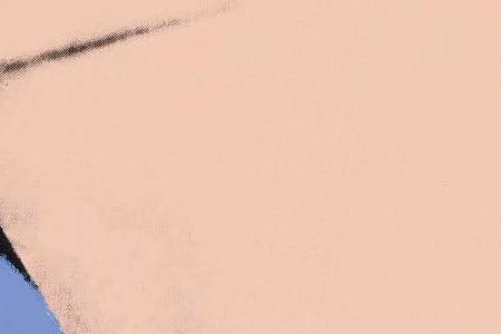 Фрагмент PORTRAIT OF MRS K FRAU KRULL