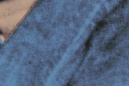 Фрагмент PORTRAIT OF REIMER CLAUSSEN на голубом фоне