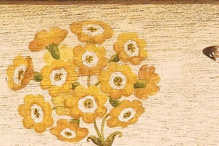 Фрагмент Primula Auricula.