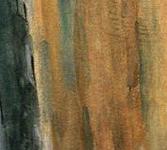 Фрагмент Princess Volkhova