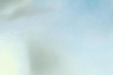 Фрагмент PRINTEMPS NECROPHILIQUE