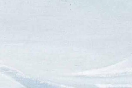 Фрагмент ПТИЧКИ ИЗ УТРЕННИХ ПОСЛЕ РОЖДЕНИЯ