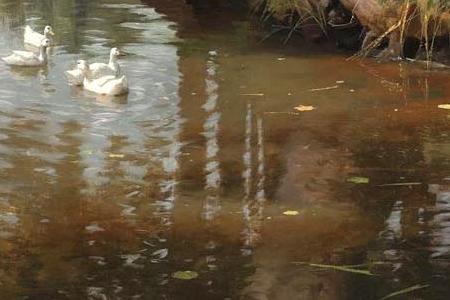 Фрагмент PUNTING ON THE RIVER