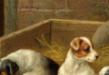 Фрагмент PUPPIES AND CHICKENS AND PUPPIES AND A TORTOISE TWO WO