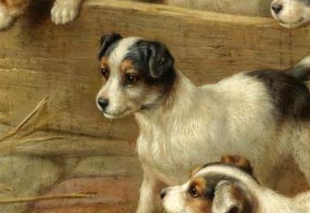 Фрагмент PUPPIES AND CHICKENS AND PUPPIES AND A TORTOISE TWO WO