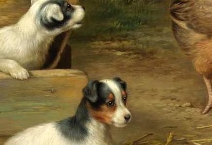 Фрагмент PUPPIES AND CHICKENS AND PUPPIES AND A TORTOISE TWO WO