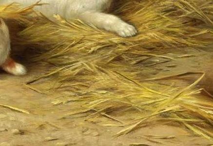 Фрагмент PUPPIES AND CHICKENS AND PUPPIES AND A TORTOISE TWO WO