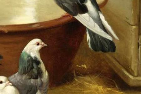 Фрагмент PUPPIES AND PIGEONS