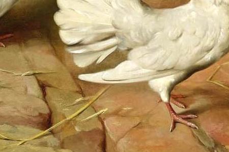 Фрагмент PUPPIES AND PIGEONS