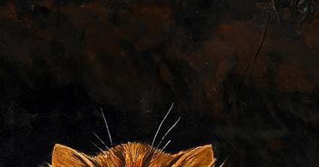 Фрагмент Пять кошек, Рыжий во главе