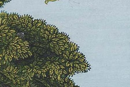 Фрагмент Radha and Krishna share a romantic moment