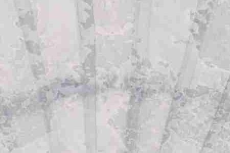 Фрагмент Ракушка 2