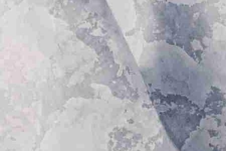 Фрагмент Ракушка