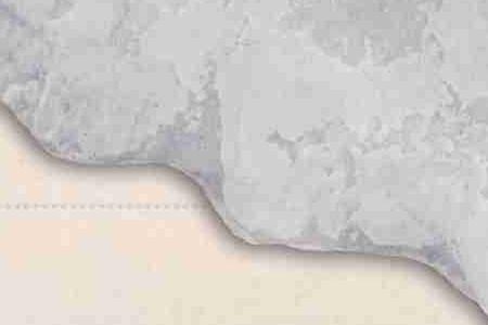 Фрагмент Ракушка