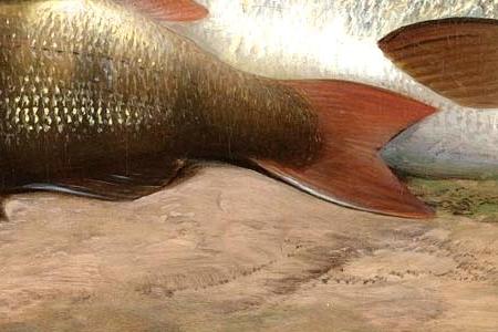 Фрагмент Речной улов