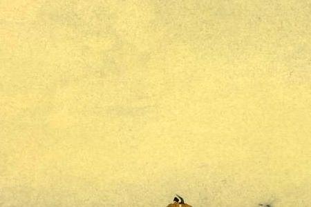 Фрагмент RETURN OF THE FISHERMEN TO BOULOGNE