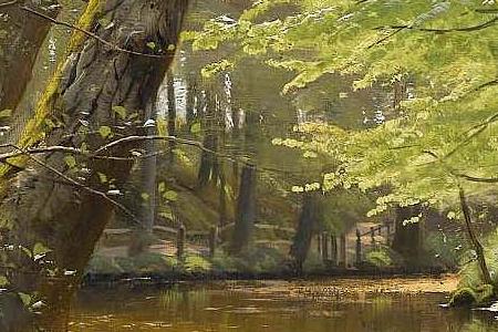 Фрагмент RIVER FLOWING THROUGH A TRANQUIL FOREST