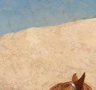 Фрагмент RIVERSIDE CAMP