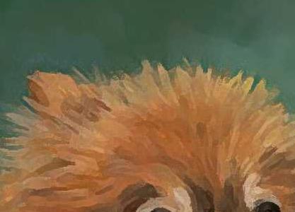 Фрагмент Rocco-Pom