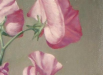 Фрагмент Rose Sweet Peas and Fuschias