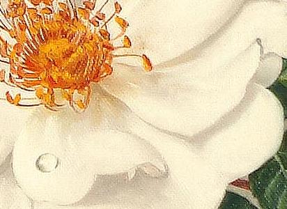 Фрагмент Rose Sweet Peas and Fuschias