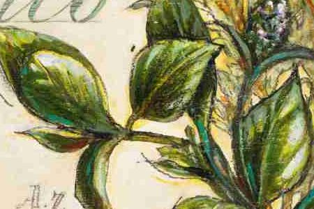 Фрагмент ROSEMARY