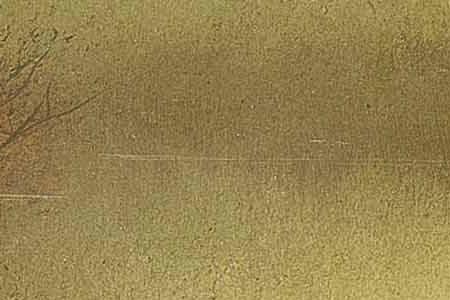 Фрагмент Roundhay Lake