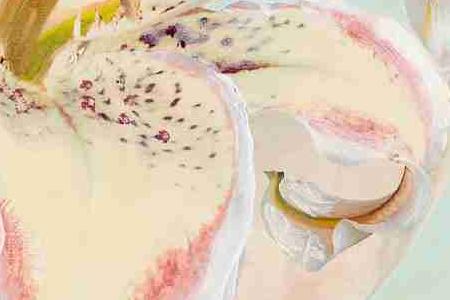 Фрагмент Розовая Лилия 1