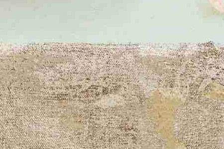 Фрагмент Розовая Лилия 1