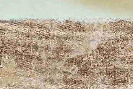 Фрагмент Розовый Пион